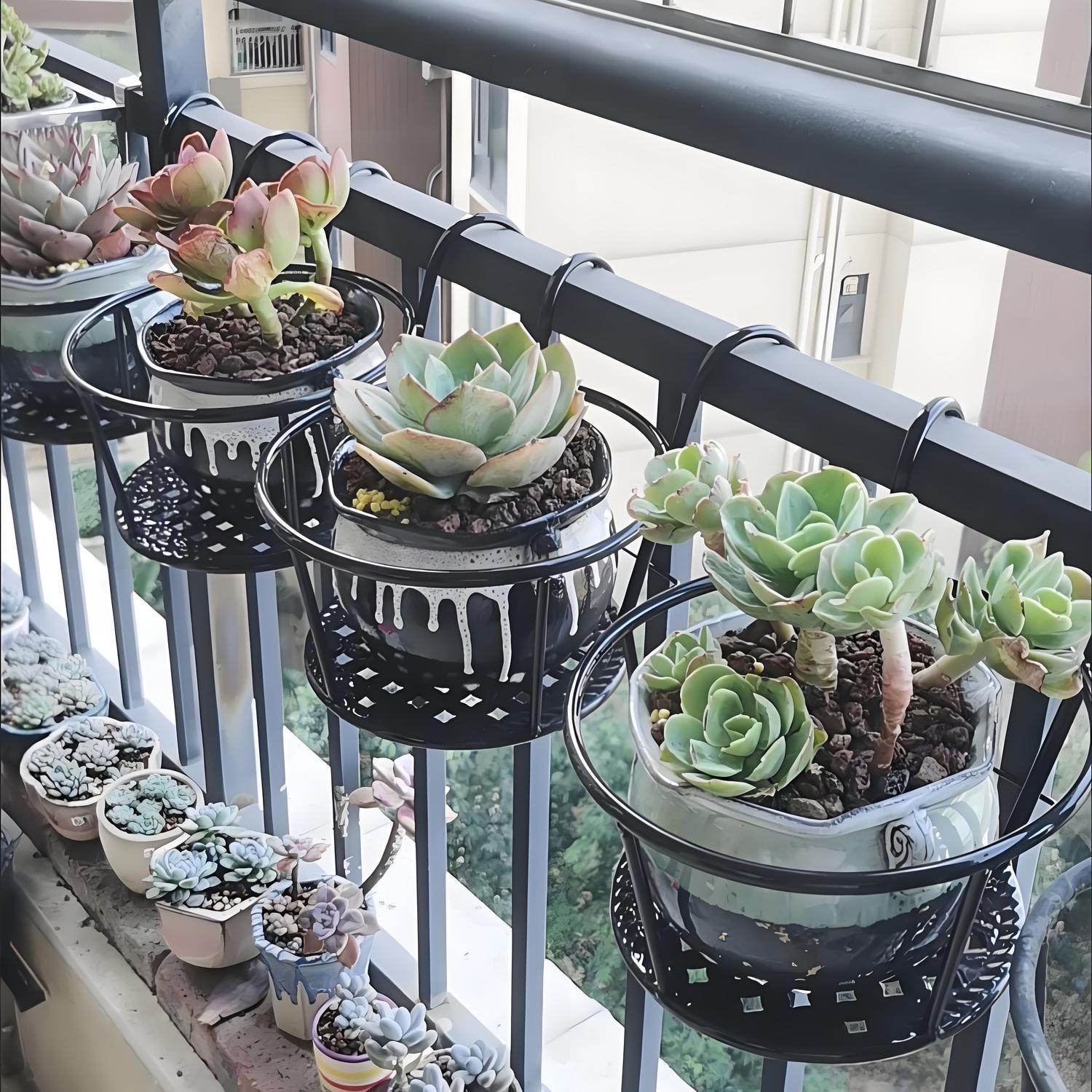 ตะกร้าแขวนดอกไม้/ขาตั้งต้นไม้เ - Spider Plant Hanging บทวิจารณ์และราคา