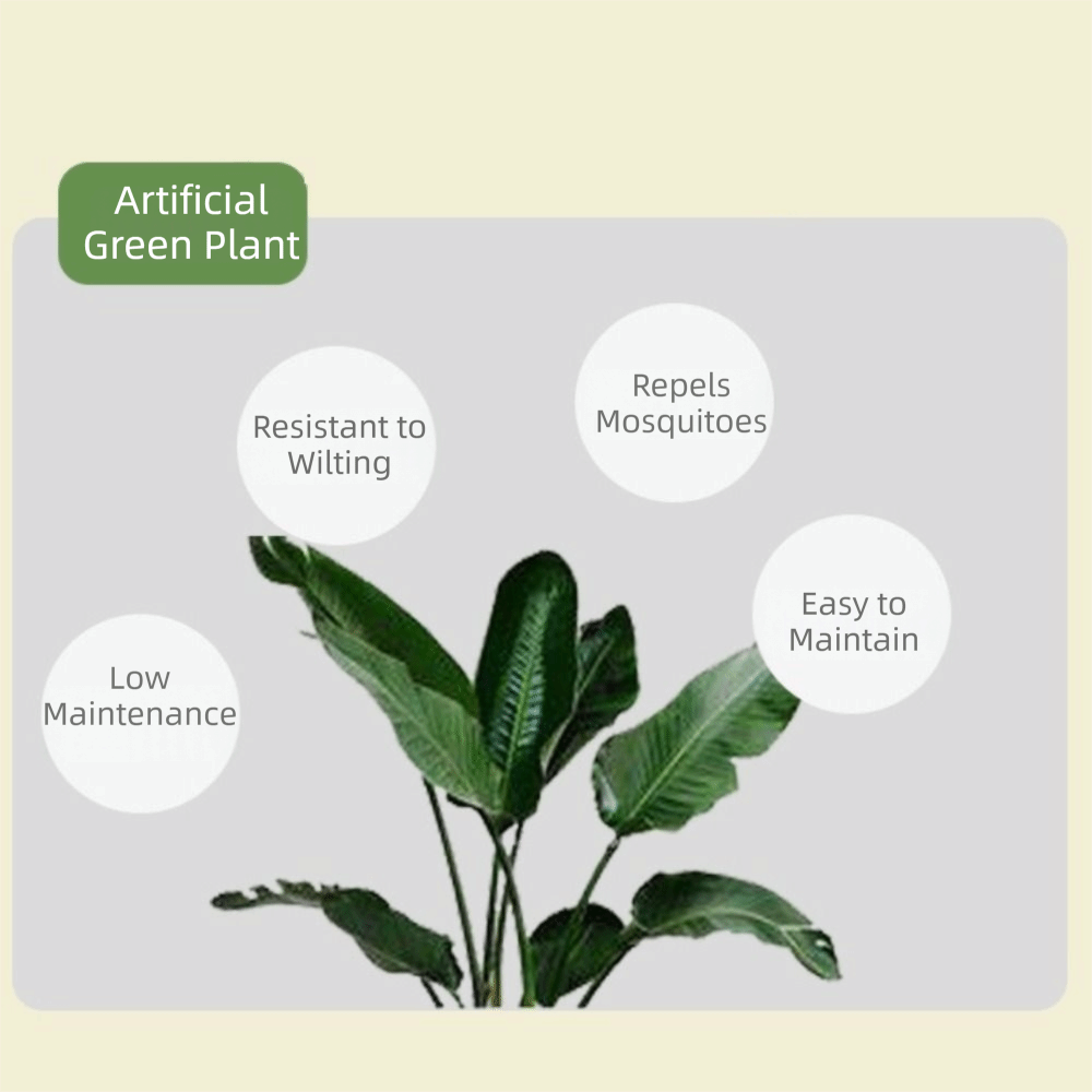 ต้นไทรพลาสติกสีเขียวขนาดใหญ่ 2 - Dracaena Marginata บทวิจารณ์และราคา
