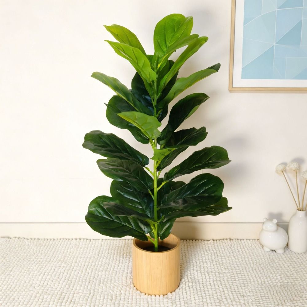 ต้นไทรพลาสติกสีเขียวขนาดใหญ่ 2 - Dracaena Marginata บทวิจารณ์และราคา