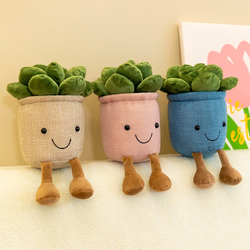 ตุ๊กตาต้นทิวลิปและไม้อวบน้ำเสม - Echeveria Succulent บทวิจารณ์และราคา