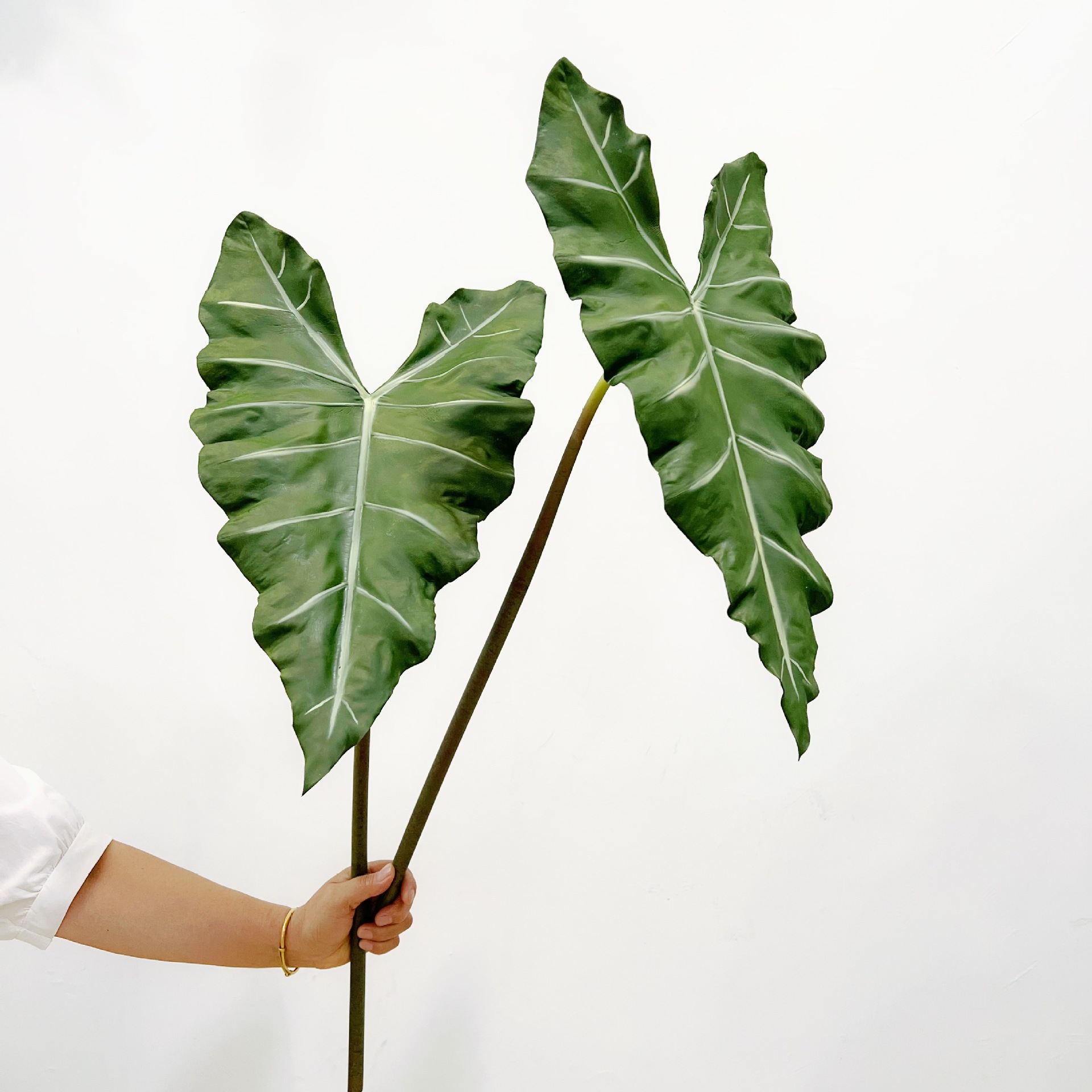 จําลองยาว PU มือรู้สึกพืชสีเขี - Dracaena Marginata บทวิจารณ์และราคา