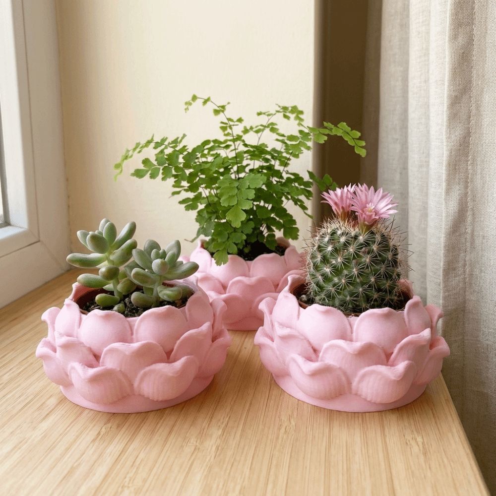 กระถางต้นไม้รูปดอกบัว พลาสติกพ - Echeveria Succulent บทวิจารณ์และราคา