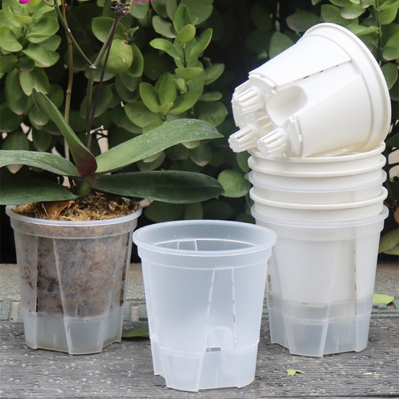 5 ชิ้นโปร่งใส Orchid หม้อหลุม  - Aloe Vera Pot บทวิจารณ์และราคา