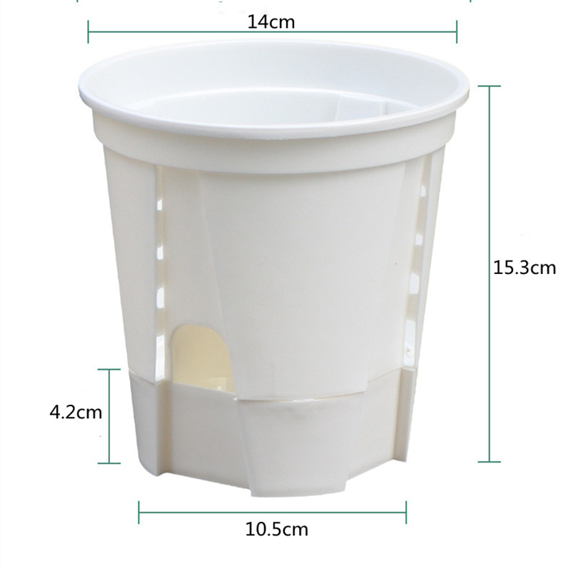 5 ชิ้นโปร่งใส Orchid หม้อหลุม  - Aloe Vera Pot บทวิจารณ์และราคา